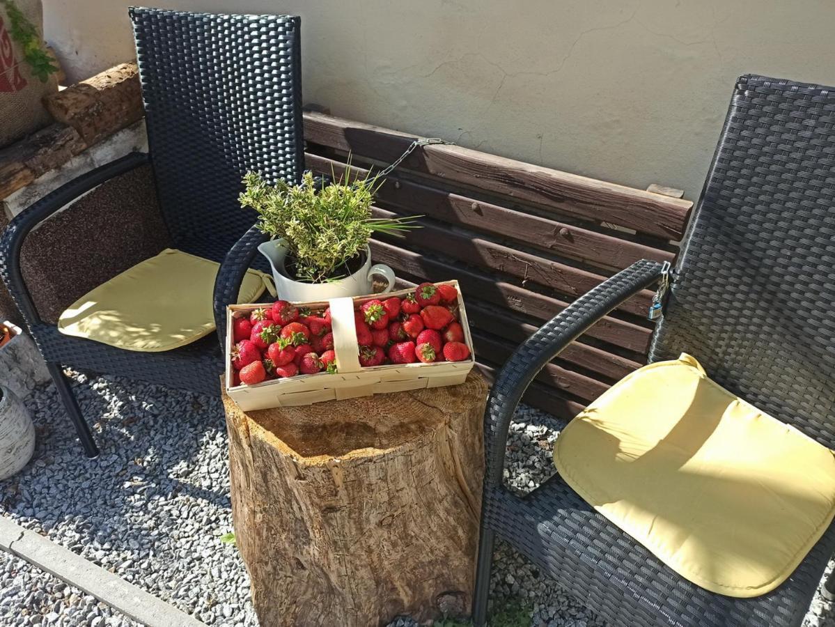 Apartmany Ziakova - Ubytovani Nove Hrady 111 Exterior photo